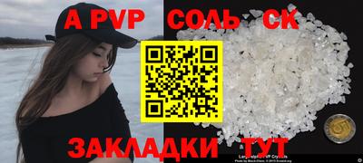 молекула духа Кингисепп