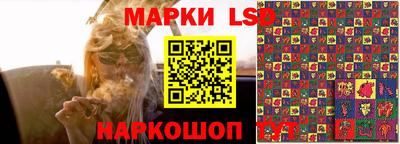 молекула духа Кингисепп
