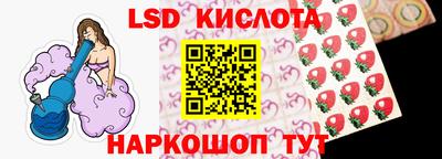 молекула духа Кингисепп