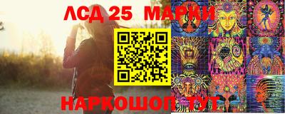 молекула духа Кингисепп
