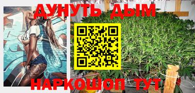 молекула духа Кингисепп