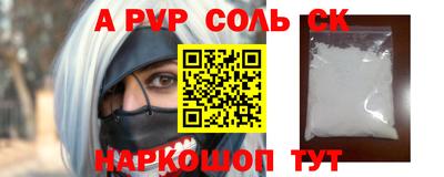 молекула духа Кингисепп