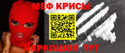 молекула духа Кингисепп